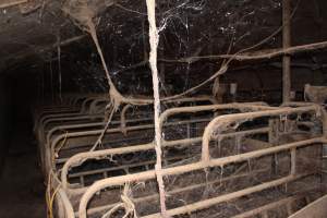 Farrowing crates at Cumbijowa Piggery NSW - Australian pig farming - Captured at Cumbijowa Piggery, Cumbijowa NSW Australia.