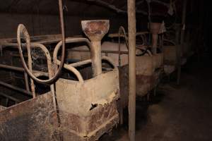 Farrowing crates at Cumbijowa Piggery NSW - Australian pig farming - Captured at Cumbijowa Piggery, Cumbijowa NSW Australia.