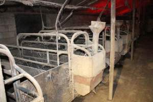 Farrowing crates at Cumbijowa Piggery NSW - Australian pig farming - Captured at Cumbijowa Piggery, Cumbijowa NSW Australia.