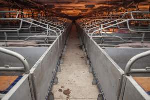 Looking down aisle of farrowing shed - Australian pig farming - Captured at Golden Grove Piggery, Young NSW Australia.