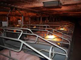 Farrowing crates at Golden Grove Piggery NSW - Australian pig farming - Captured at Golden Grove Piggery, Young NSW Australia.