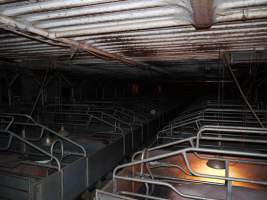 Farrowing crates at Golden Grove Piggery NSW - Australian pig farming - Captured at Golden Grove Piggery, Young NSW Australia.