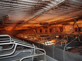 Farrowing crates at Golden Grove Piggery NSW - Australian pig farming - Captured at Golden Grove Piggery, Young NSW Australia.