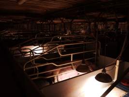 Farrowing crates at Golden Grove Piggery NSW - Australian pig farming - Captured at Golden Grove Piggery, Young NSW Australia.