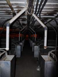 Farrowing crates at Golden Grove Piggery NSW - Australian pig farming - Captured at Golden Grove Piggery, Young NSW Australia.