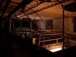 Farrowing crates at Golden Grove Piggery NSW - Australian pig farming - Captured at Golden Grove Piggery, Young NSW Australia.