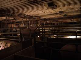 Farrowing crates at Golden Grove Piggery NSW - Australian pig farming - Captured at Golden Grove Piggery, Young NSW Australia.