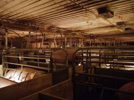 Farrowing crates at Golden Grove Piggery NSW - Australian pig farming - Captured at Golden Grove Piggery, Young NSW Australia.