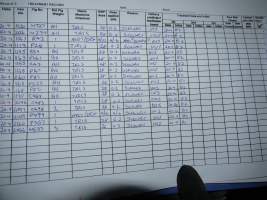 Treatment record in farrowing shed - Australian pig farming - Captured at Golden Grove Piggery, Young NSW Australia.