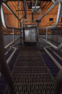 Empty farrowing crate - Australian pig farming - Captured at Golden Grove Piggery, Young NSW Australia.