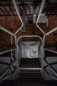 Feed tray in empty farrowing crate - Australian pig farming - Captured at Golden Grove Piggery, Young NSW Australia.