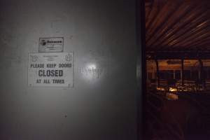 Entrance to farrowing shed - Australian pig farming - Captured at Golden Grove Piggery, Young NSW Australia.