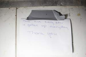 Sign: 'Make sure every sow is gotten up everyday' - Australian pig farming - Captured at Golden Grove Piggery, Young NSW Australia.