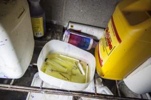 Syringes in disinfectant - Australian pig farming - Captured at Golden Grove Piggery, Young NSW Australia.