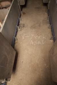 Chalking on floor - Australian pig farming - Captured at Golden Grove Piggery, Young NSW Australia.