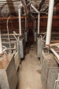 Looking down aisle of farrowing shed - Australian pig farming - Captured at Golden Grove Piggery, Young NSW Australia.