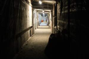 Corridor at side of shed - Australian pig farming - Captured at Wonga Piggery, Young NSW Australia.