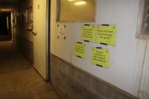 Signage in corridor - Australian pig farming - Captured at Wonga Piggery, Young NSW Australia.