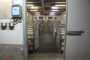 Entrance to farrowing room - Australian pig farming - Captured at Wonga Piggery, Young NSW Australia.