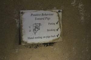 'Positive behaviour towards pigs' sign - Patting, stroking, hand resting on pigs back - Captured at Wonga Piggery, Young NSW Australia.