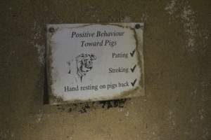'Positive behaviour towards pigs' sign - Patting, stroking, hand resting on pigs back - Captured at Wonga Piggery, Young NSW Australia.