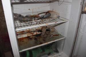 Medications fridge - Australian pig farming - Captured at Wonga Piggery, Young NSW Australia.