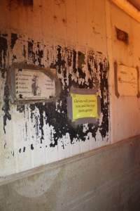 Signage on wall - Australian pig farming - Captured at Wonga Piggery, Young NSW Australia.