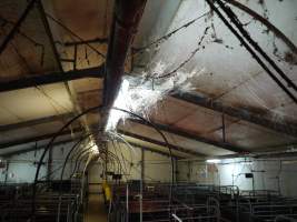 Farrowing crates shed - Australian pig farming - Captured at Templemore Piggery, Murringo NSW Australia.