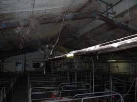 Farrowing crate shed - Australian pig farming - Captured at Templemore Piggery, Murringo NSW Australia.