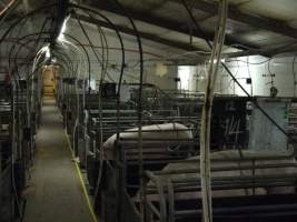 Farrowing crate shed - Australian pig farming - Captured at Templemore Piggery, Murringo NSW Australia.