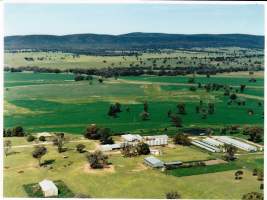 Aerial view of Springview Piggery NSW - Australian pig farming - Captured at Springview Piggery, Gooloogong NSW Australia.