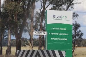 Rivalea road sign at Hudsons Rd entrance - Australian pig farming - Captured at Corowa Piggery & Abattoir, Redlands NSW Australia.