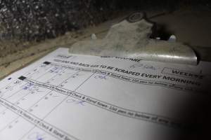 Farrowing shed checklist - Australian pig farming - Captured at Corowa Piggery & Abattoir, Redlands NSW Australia.