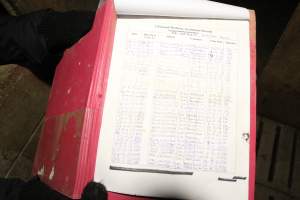 Treatment record - Australian pig farming - Captured at Brentwood Piggery, Kaimkillenbun QLD Australia.