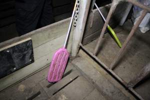 Paddles used for smacking pigs - Australian pig farming - Captured at Brentwood Piggery, Kaimkillenbun QLD Australia.