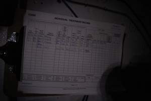 Treatment record - Australian pig farming - Captured at Corowa Piggery & Abattoir, Redlands NSW Australia.