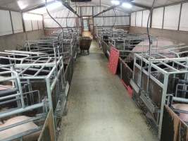 Farrowing crates at Selko Piggery NSW - Australian pig farming - Captured at Selko Piggery, Narrandera NSW Australia.