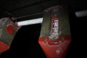 Feeder tubes above sow stalls - Australian pig farming - Captured at CEFN Breeding Unit #2, Leyburn QLD Australia.