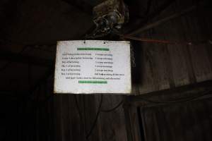 Farrowing house feeding routine sign - Australian pig farming - Captured at Tailem Bend Piggery, Tailem Bend SA Australia.