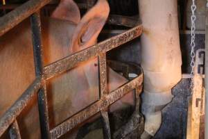 Farrowing crates at Huntly Piggery NSW - Australian pig farming - Captured at Huntly Piggery, Huntly North VIC Australia.