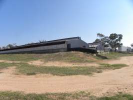 Outside Springview Piggery NSW - Daytime external photo - Captured at Springview Piggery, Gooloogong NSW Australia.