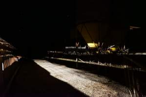 Piggery sheds from outside at night - Australian pig farming - Captured at Yelmah Piggery, Magdala SA Australia.