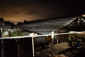 Piggery sheds outside at night - Australian pig farming - Captured at Yelmah Piggery, Magdala SA Australia.