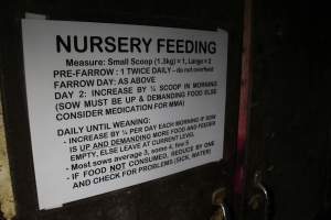 Nursery feeding signage - Australian pig farming - Captured at Deni Piggery, Deniliquin NSW Australia.