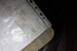 Farrowing record identifying Rivalea company - Australian pig farming - Captured at St Arnaud Piggery Units 2 & 3, Saint Arnaud VIC Australia.