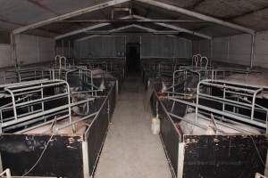 Farrowing crates at Selko Piggery NSW - Australian pig farming - Captured at Selko Piggery, Narrandera NSW Australia.