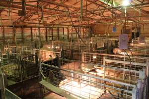 Farrowing crates at St Arnaud Piggery VIC - Australian pig farming - Captured at St Arnaud Piggery Units 2 & 3, St Arnaud VIC Australia.