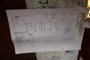 Farrowing record - Australian pig farming - Captured at St Arnaud Piggery Units 2 & 3, Saint Arnaud VIC Australia.