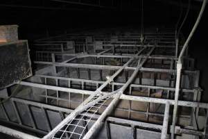 Farrowing crates at Huntly Piggery NSW - Australian pig farming - Captured at Huntly Piggery, Huntly North VIC Australia.