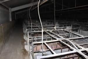 Farrowing crates at Huntly Piggery NSW - Australian pig farming - Captured at Huntly Piggery, Huntly North VIC Australia.